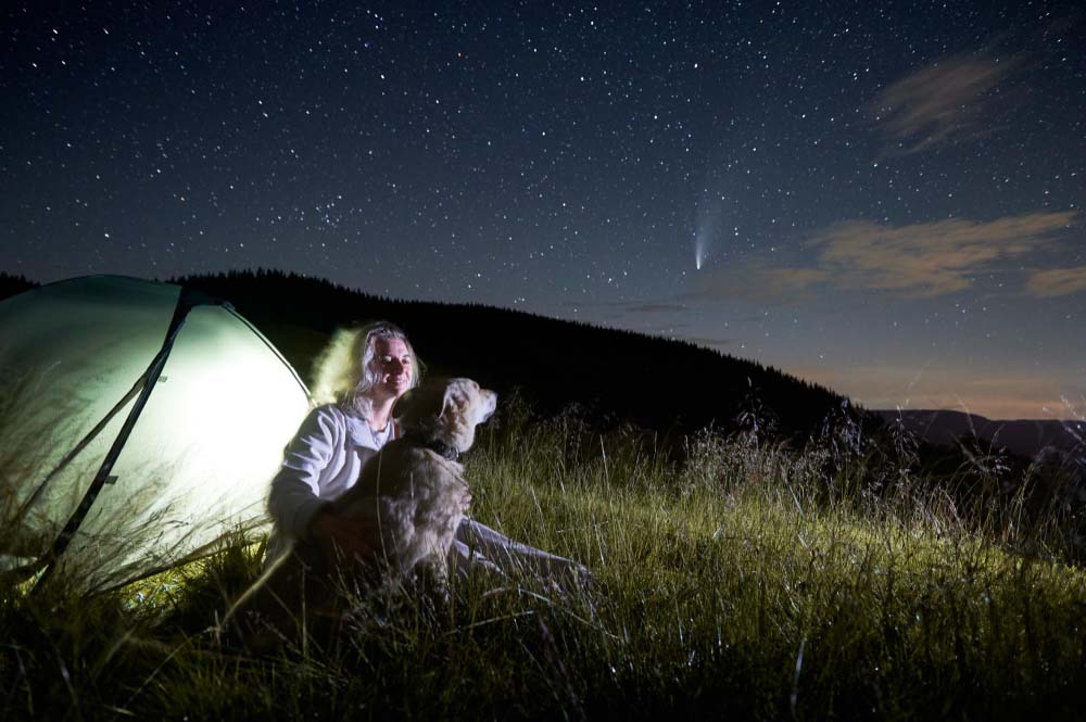 Campeggio con il cane sotto le stelle